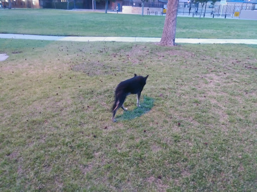 Park «Memorial Park», reviews and photos, 320 N Orange Ave, Azusa, CA 91702, USA