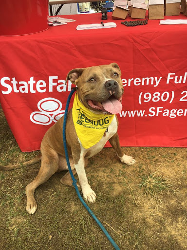 Auto Insurance Agency «State Farm: Jeremy Fulkerson», reviews and photos