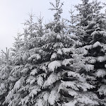 Photo n°1 de l'avis de De.c fait le 08/02/2020 à 19:34 sur le  Restaurant Schmücke à Gehlberg