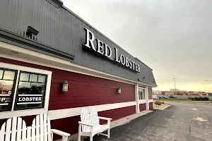 Red Lobster image