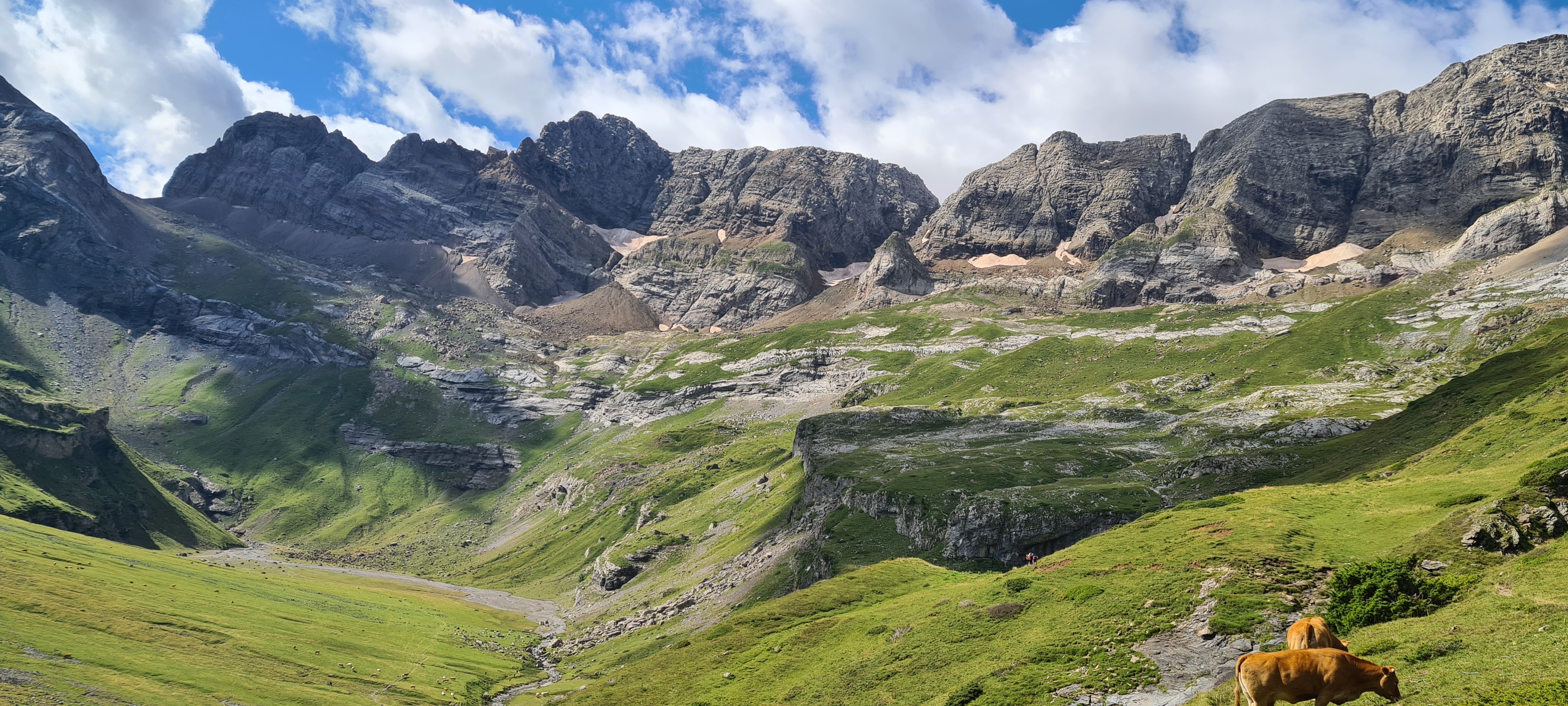 Photo n° 12 de l'avis de Thierry.a fait le 31/07/2022 à 14:26