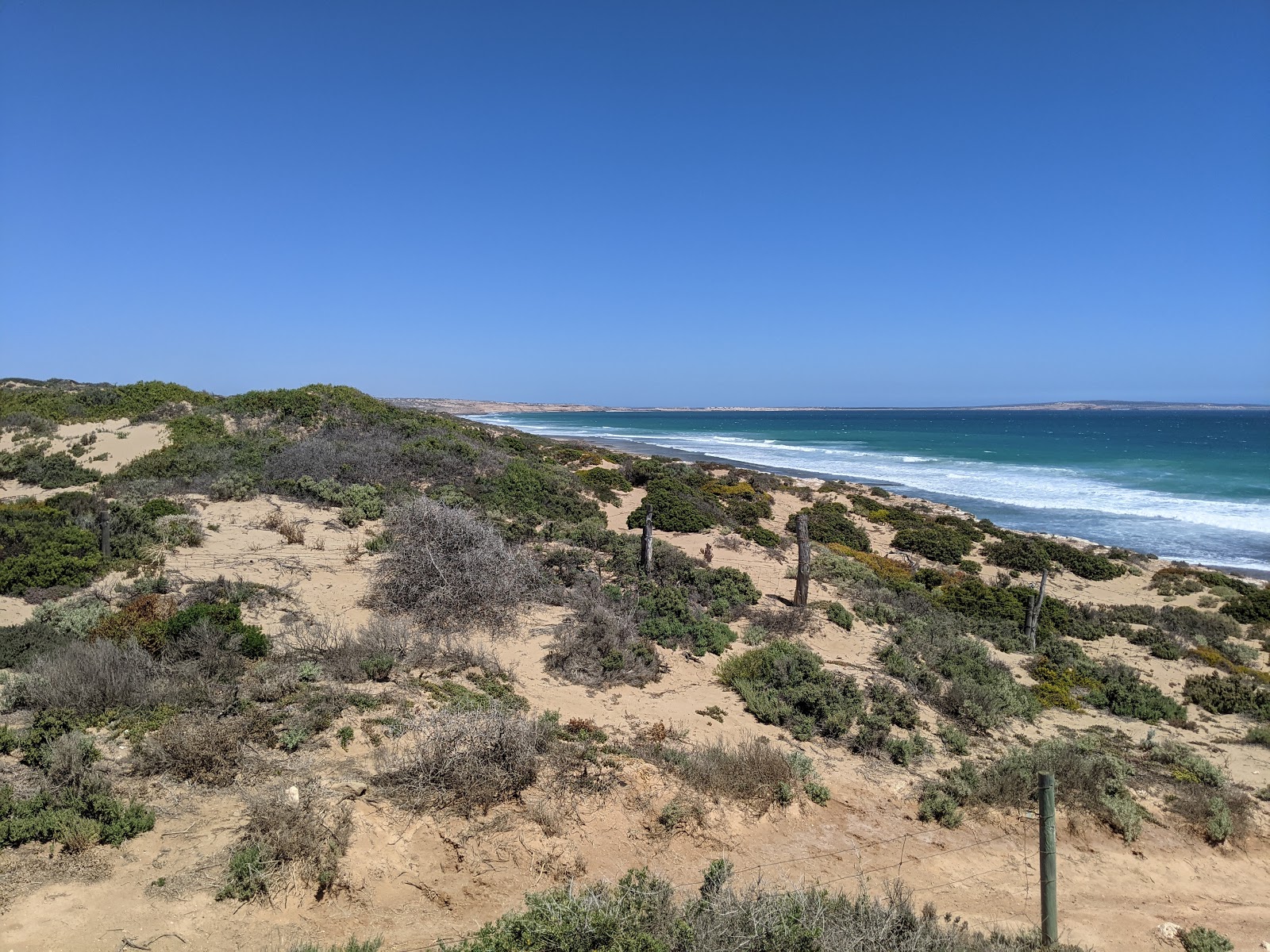 Foto av Back Beach beläget i naturområde