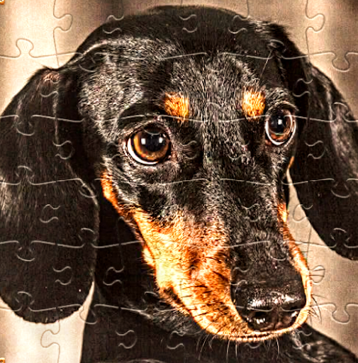 American Restaurant «Cracker Barrel Old Country Store», reviews and photos, 6941 Charlotte Pike, Nashville, TN 37209, USA