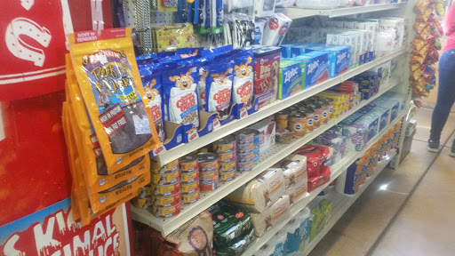 Gift Shop «Mt Lemmon General Store & Gift», reviews and photos, 12856 N Sabino Canyon Park, Mt Lemmon, AZ 85619, USA