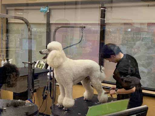 Pet Supply Store «PetSmart», reviews and photos, 250 Grossman Dr, Braintree, MA 02184, USA