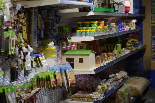 Künstlers Der Zoo unter Sögel, 