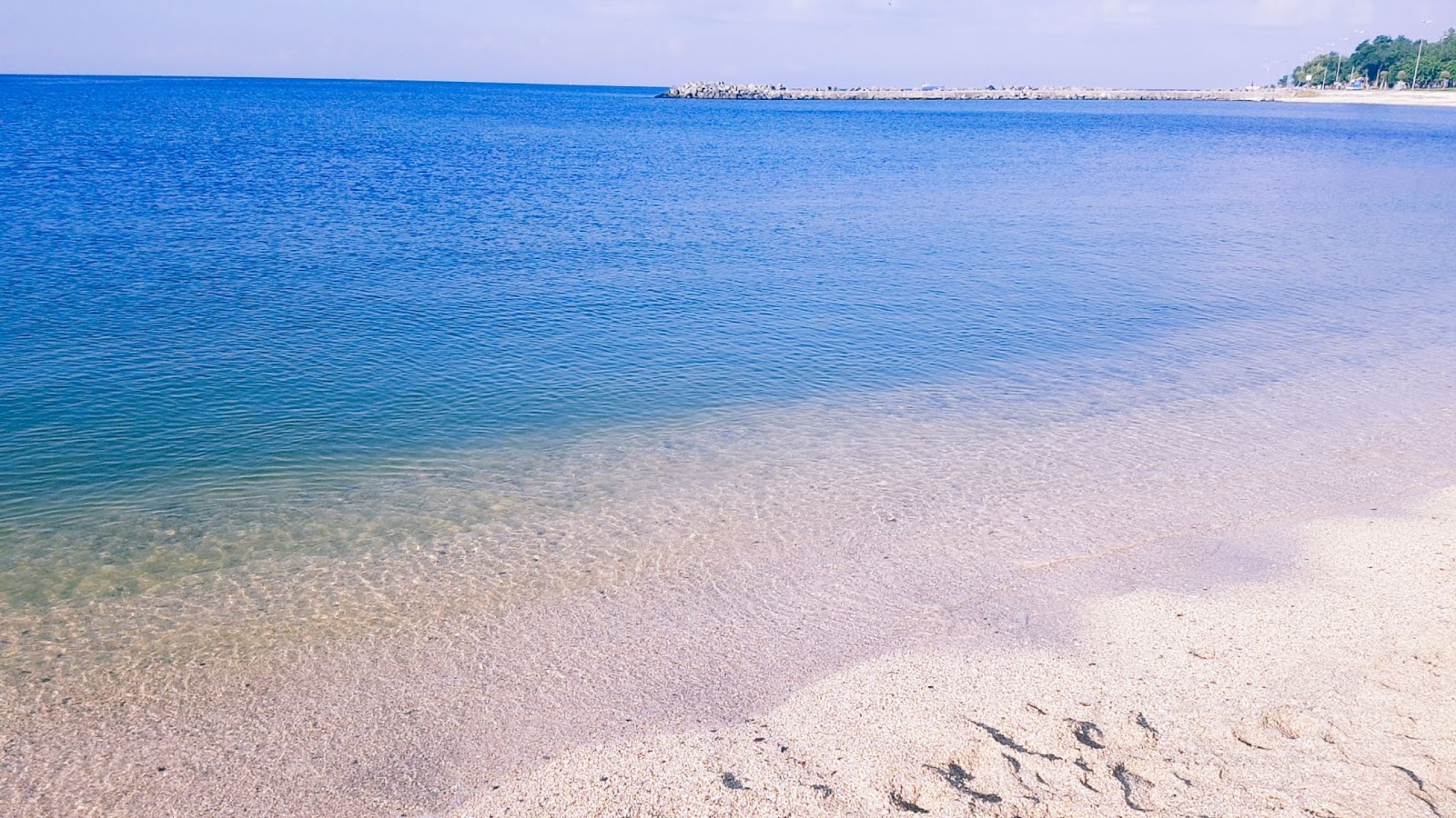 Bakirkoy beach的照片 带有碧绿色水表面