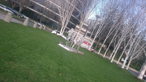 Park «Olympic Sculpture Park», reviews and photos, 2901 Western Ave, Seattle, WA 98121, USA