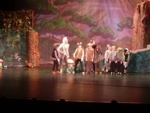 Performing Arts Theater «The Franklin Performing Arts Center», reviews and photos, 2600 Cumberland Dr, Franklin, IN 46131, USA