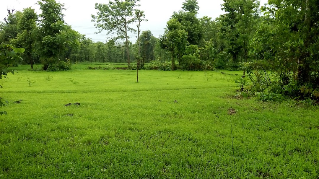 Sawarde