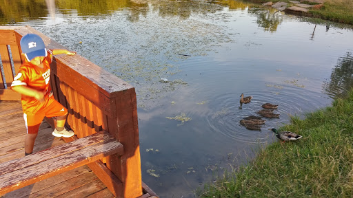 Park «Victoria Park», reviews and photos, 3051 W Northgate Dr, Irving, TX 75062, USA