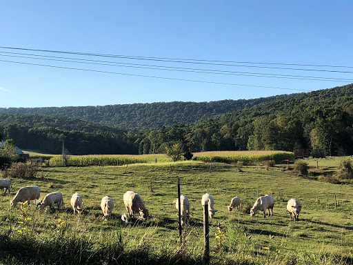 State Park «Swatara State Park», reviews and photos, 1450 Suedberg Rd, Pine Grove, PA 17963, USA