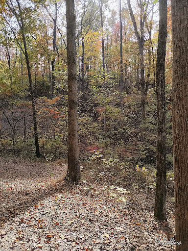 Shooting Event Area «Etowah Valley Sporting Clays Park», reviews and photos, 619 Sporting Hill Dr, Dawsonville, GA 30534, USA