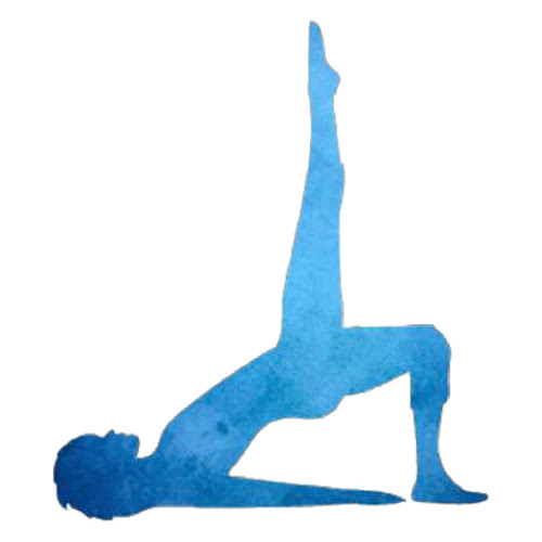 Blue Mat Pilates - Mount Maunganui