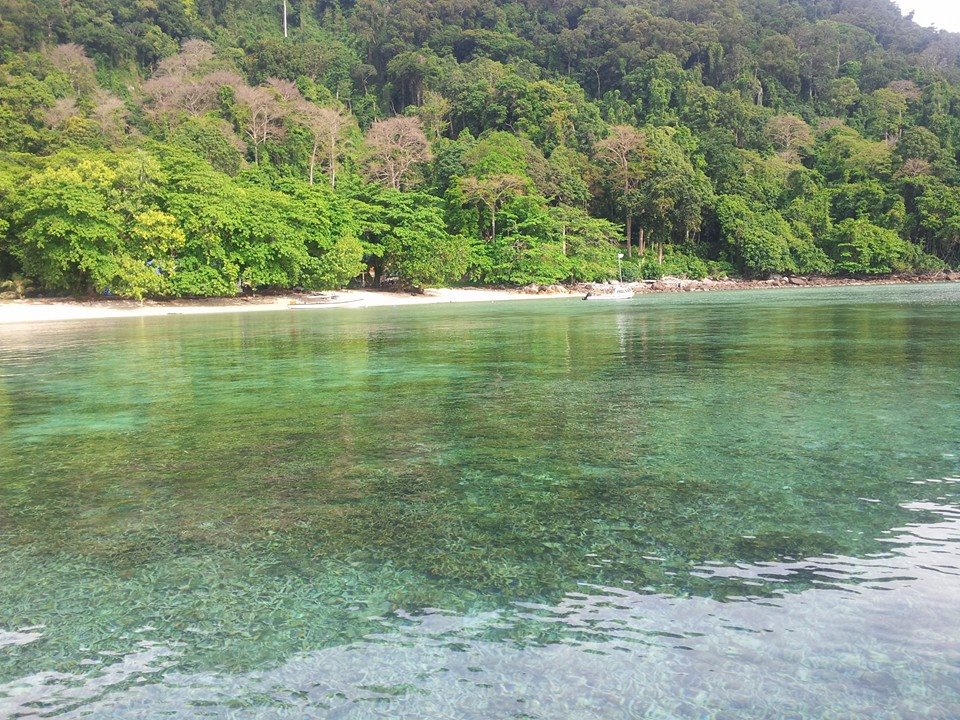 Pulau Tenggol photo #9