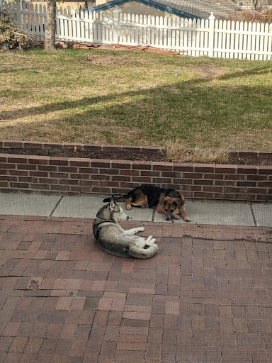 Animal Protection Organization «Humane Society-Black Hills», reviews and photos