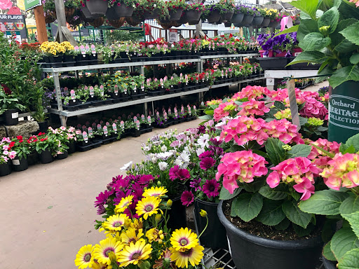 Hardware Store «Orchard Supply Hardware», reviews and photos, 300 Floresta Blvd, San Leandro, CA 94578, USA