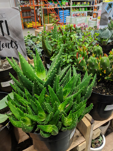 Home Improvement Store «The Home Depot», reviews and photos, 4700 17th Avenue SW, Fargo, ND 58103, USA