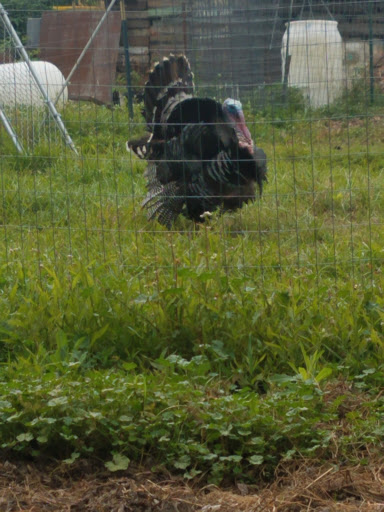 Ford Dealer «Northside Ford Truck Sales, Inc.», reviews and photos, 6221 NE Columbia Blvd, Portland, OR 97218, USA