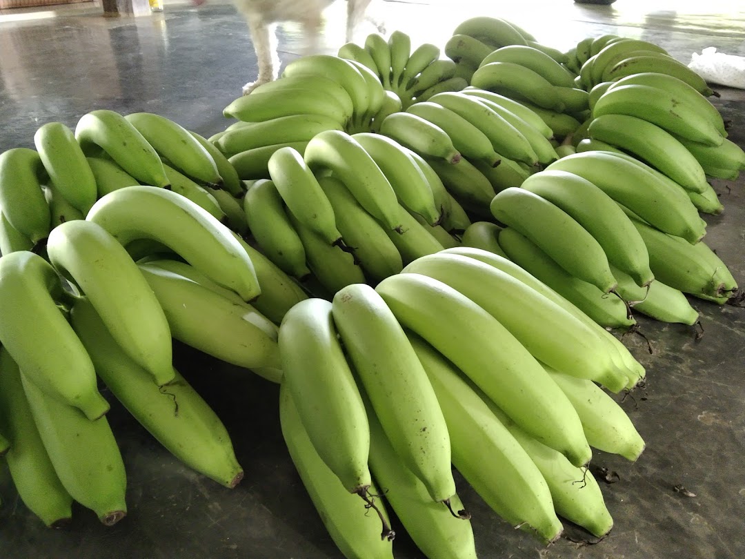 สวนมะนาว-กล้วยซุ่มกมล