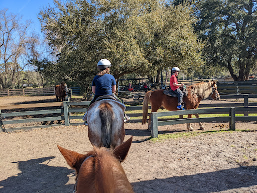 Horse riding field Savannah