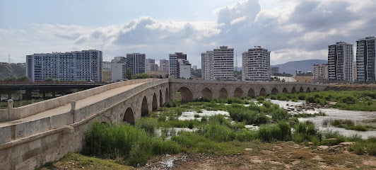 Tarihi Eğri Köprü