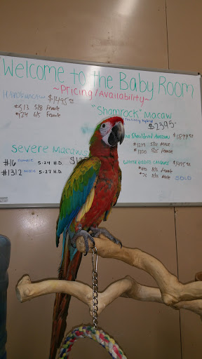 Bird Shop «Paterson Bird Store», reviews and photos, 13 Furler St # 1, Totowa, NJ 07512, USA