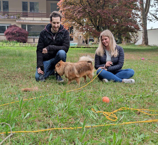 Osmos'Educ - Hundeschule