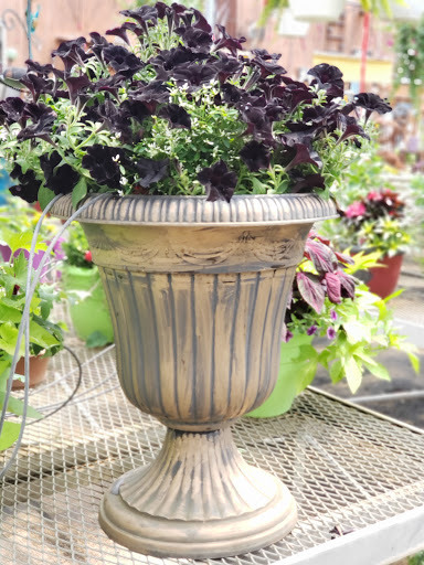 Florist «St. Clair Greenhouses & Florist», reviews and photos, 7043 Big Hand Rd, St Clair, MI 48079, USA