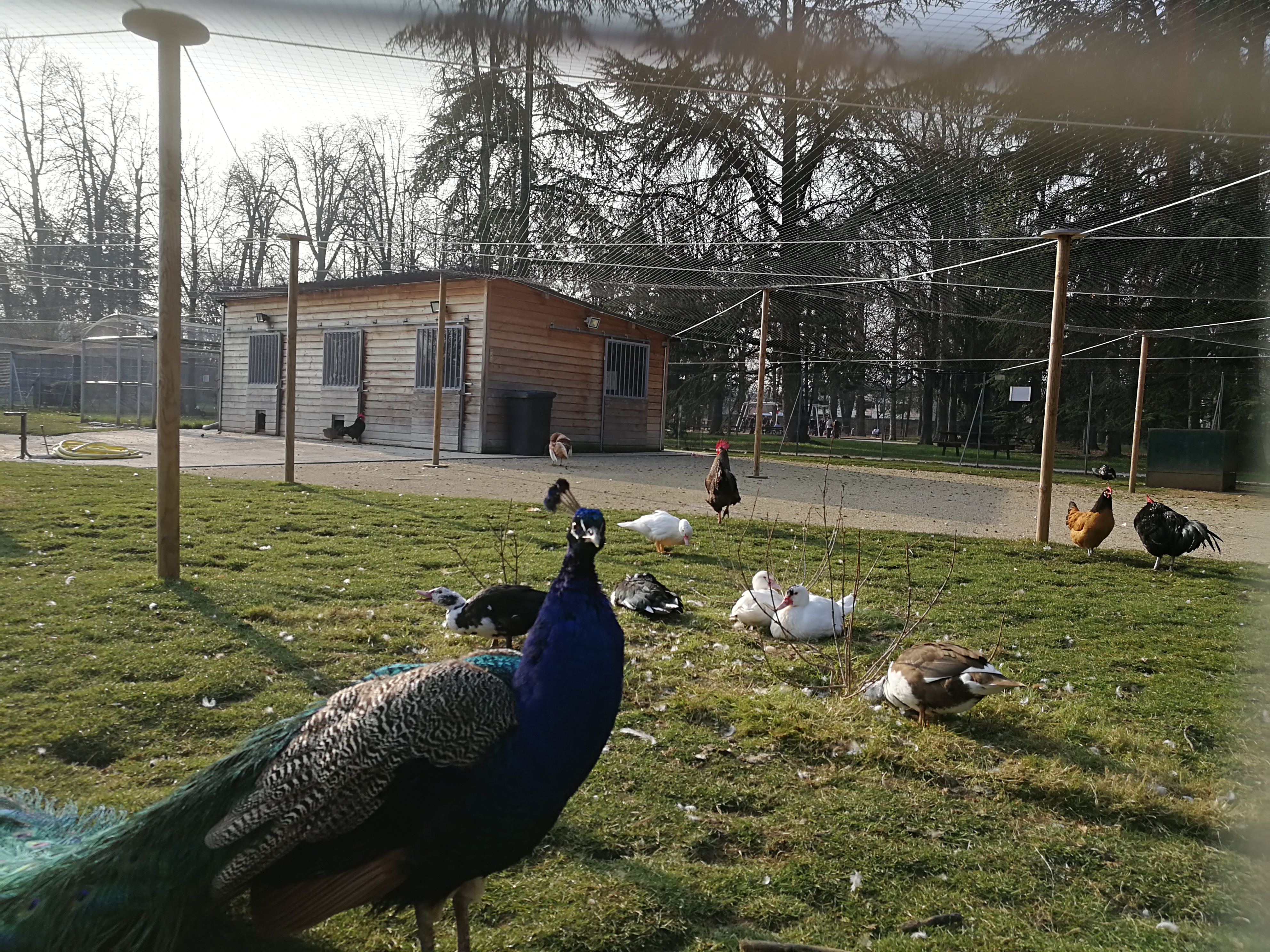 Photo n° 4 de l'avis de Vincent.t fait le 24/02/2018 à 15:49