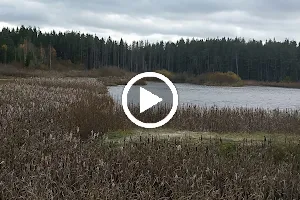 Järvelä Wetland, easily accessible bird watching area image