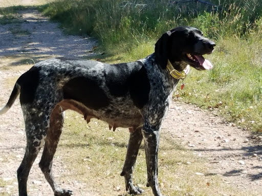 Wildlife Park «Prairie Dog Town», reviews and photos, MacKenzie Park Rd, Lubbock, TX 79401, USA