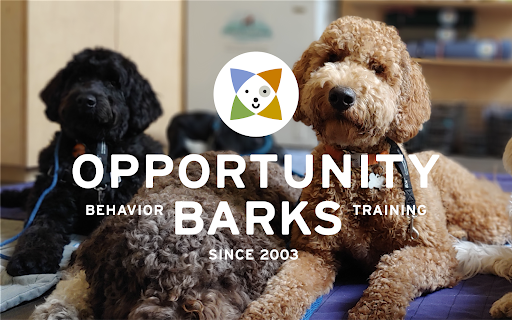 Opportunity Barks Behavior & Training