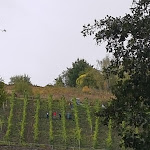 Photo n°1 de l'avis de Stephanie.o fait le 08/10/2019 à 16:29 sur le  Karlsmühle à Mertesdorf