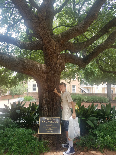 Book Store «University of South Carolina Bookstore», reviews and photos, 1400 Greene St, Columbia, SC 29225, USA