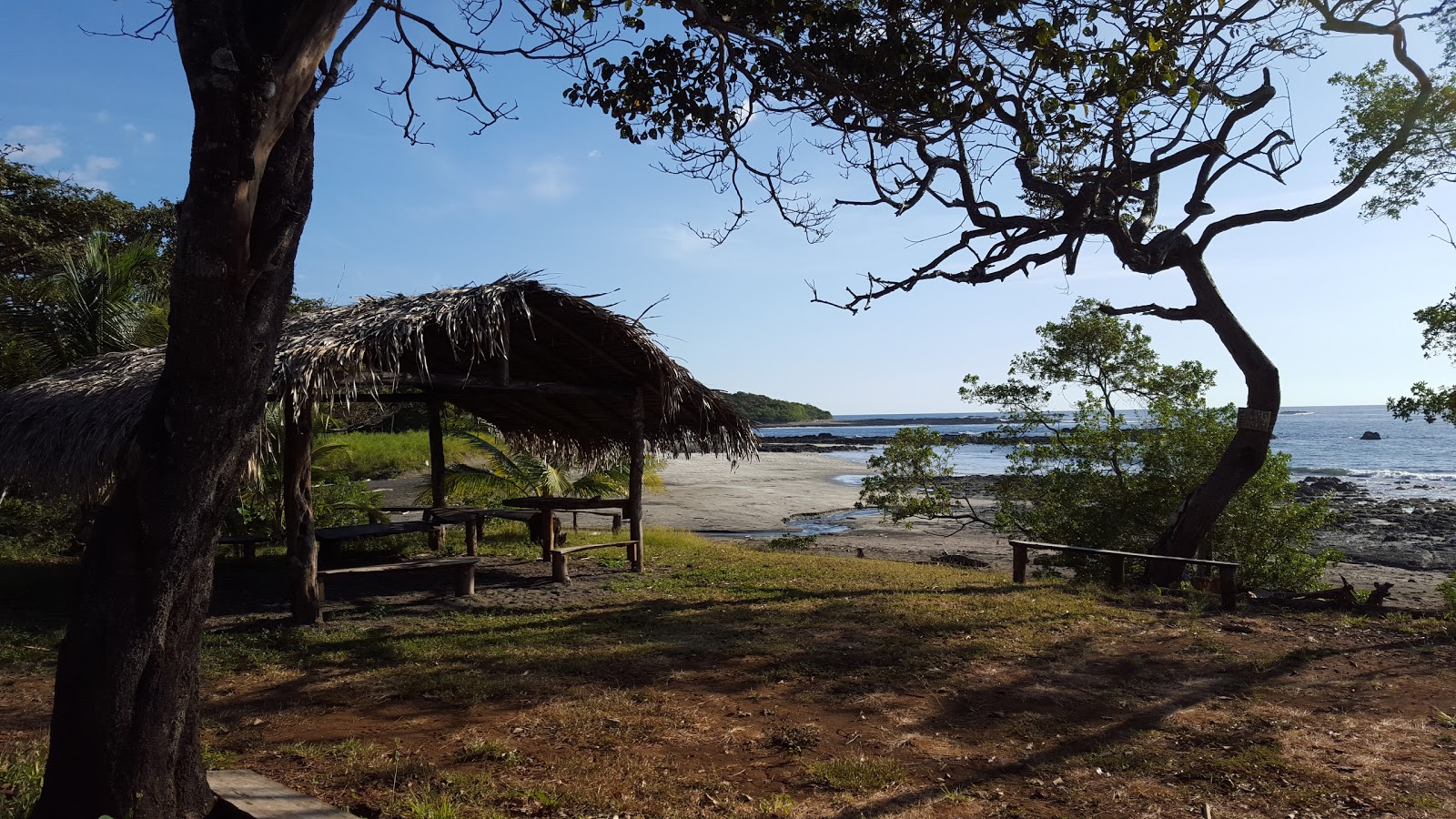 Zdjęcie Nile Beach z proste i długie