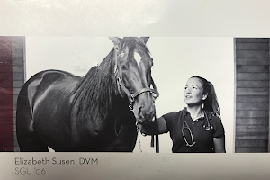 Carolina Equine Clinic