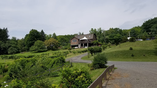 Winery «Six Mile Creek Vineyard», reviews and photos, 1551 Slaterville Rd, Ithaca, NY 14850, USA