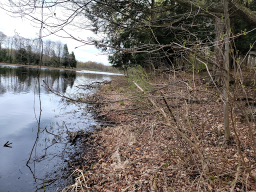 Nature Preserve «Beaver Meadow Audubon Center», reviews and photos, 1610 Welch Rd, Java Center, NY 14082, USA