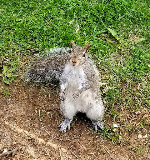 Park «Delcastle Recreational Park», reviews and photos, 2920 Duncan Rd, Wilmington, DE 19808, USA