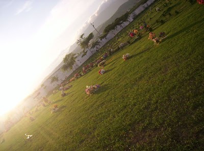 Photos of Manabi Gardens