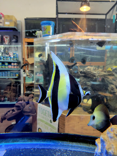 Pet Store «Pet Suppliers», reviews and photos, 2825 E Highland Rd, Highland Charter Twp, MI 48356, USA