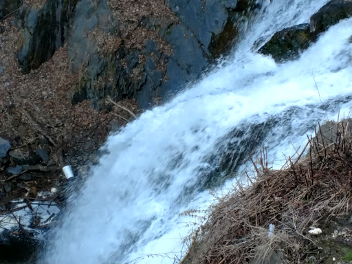 Live Music Venue «The Falcon», reviews and photos, 1348 US-9W, Marlboro, NY 12542, USA