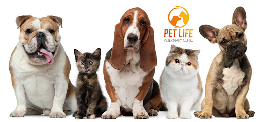 Pet Life Veterinary Clinic