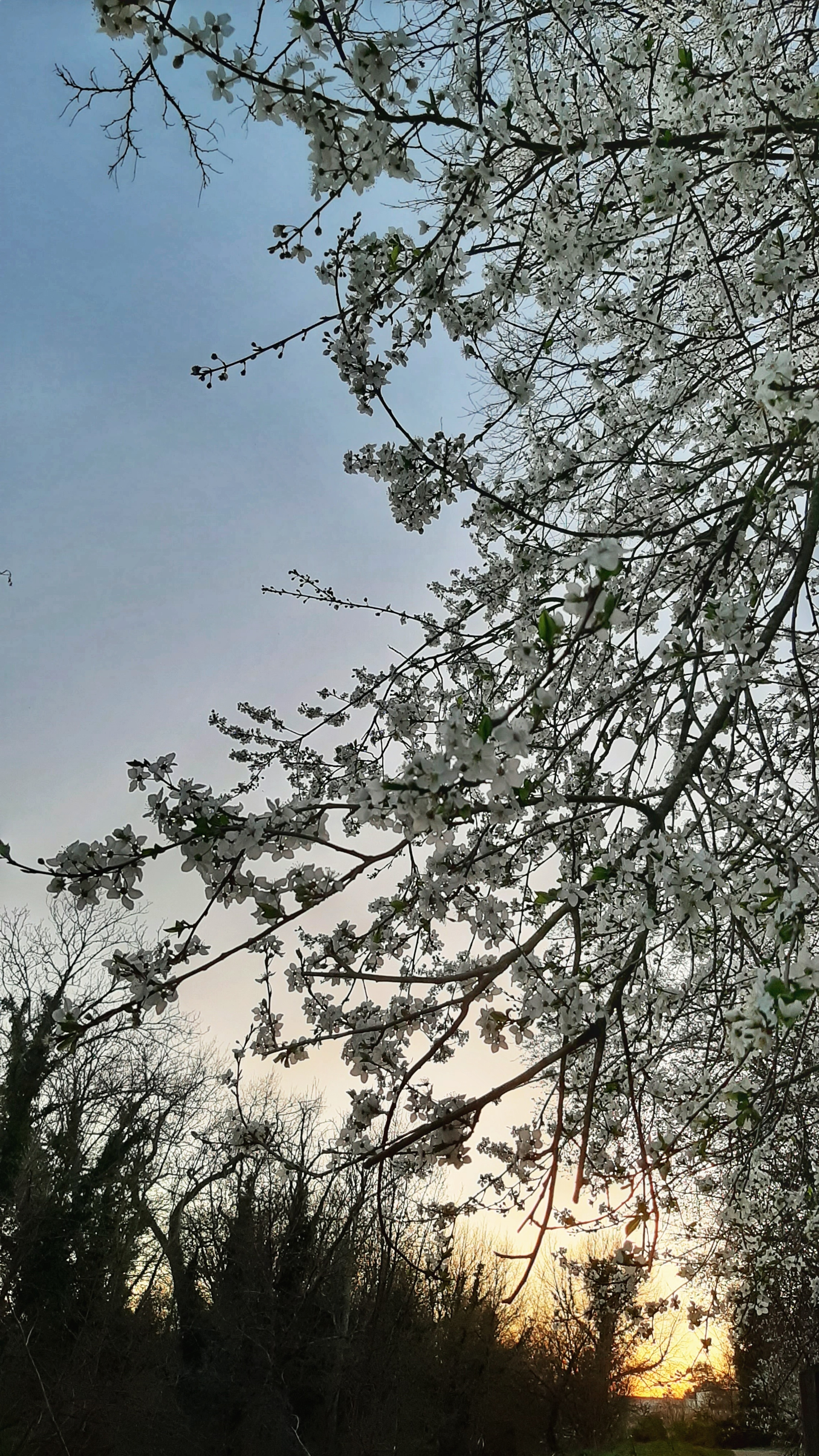 Photo n° 6 de l'avis de Nour.r fait le 25/02/2021 à 00:56