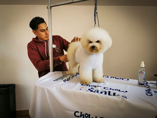 Academia de peluqueria canina lepet