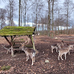 Photo n°5 de l'avis de S..a fait le 02/01/2024 à 18:31 sur le  Jägerhütte im Hermannseck à Querfurt