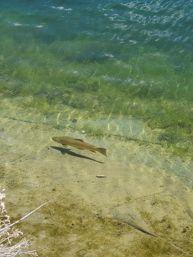 Golf Course «Tuhaye Pro Shop», reviews and photos, 9875 North Tuhaye Park, Kamas, UT 84036, USA