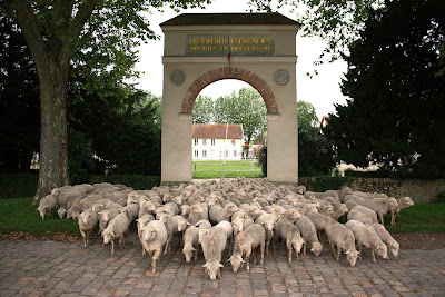 Bergerie nationale de Rambouillet à Rambouillet