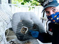 Mario's Pest Control - Photo 7 - Car repair in , Trenton